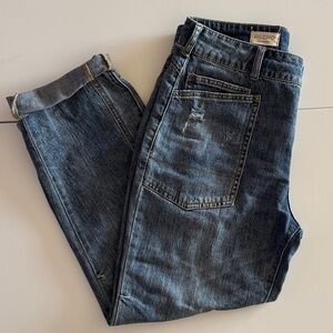 Anthropologie Pilcro Wanderer denim size 28